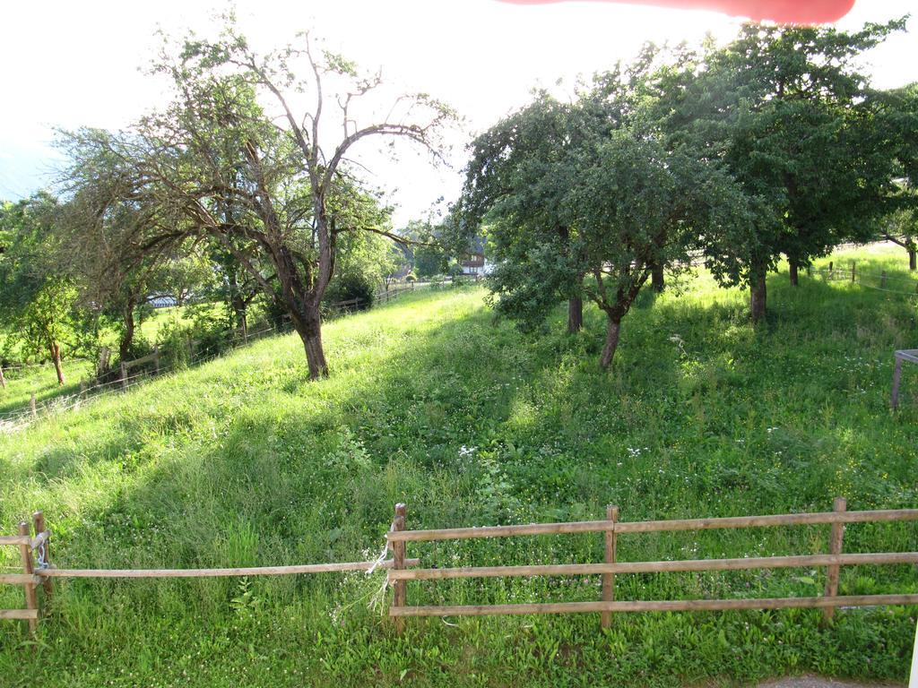 Donisbauerhof Apartman Lieserbrücke Kültér fotó