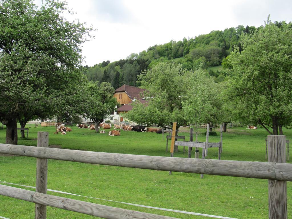 Donisbauerhof Apartman Lieserbrücke Kültér fotó